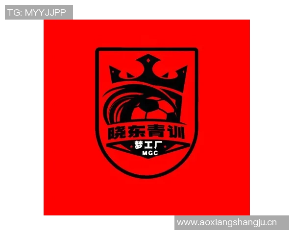 以青训为核心推动足球发展打造全面人才培养体系与可持续竞争力 以青训为核心推动足球发展打造全面人才培养体系与可持续竞争力